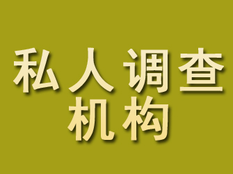 武定私人调查机构