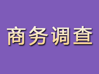 武定商务调查